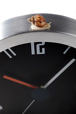 포토 JPG 스튜디오촬영 동물 한마리 기호 시계 백그라운드 컨셉 연체동물 실내 사람없음 숫자 시간 시곗바늘 오브젝트 달팽이 국내포토 문자 1 무척추동물 내부 파일형식