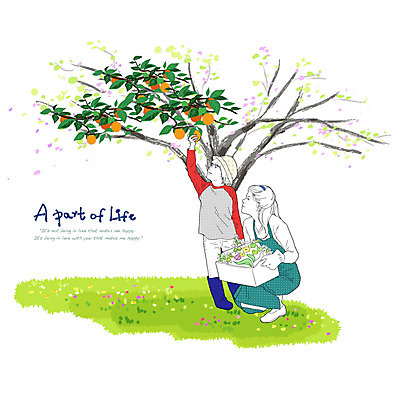 EPS 나무 식물 라이프스타일 여자 열매 남자 꽃 행복 화분 아들 화초 어린이 과일 일러스트 가족 엄마 사랑 사람 소년 20대 성인 야외 두명 30대 상자 정원 수확 가족라이프 원예 정원가꾸기 국내일러스트 감정 농업 관계 청년 취미 생활 장년 파일형식 벡터