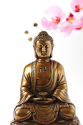 포토 JPG 스튜디오촬영 식물 꽃 종교 불교 종교용품 실내 누끼 사람없음 불상 불교용품 부처 불교마크 절표시 좌불 국내포토 표시 내부 파일형식