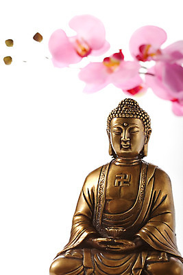 포토 JPG 스튜디오촬영 식물 꽃 종교 불교 종교용품 실내 누끼 사람없음 불상 불교용품 부처 불교마크 절표시 좌불 국내포토 표시 내부 파일형식