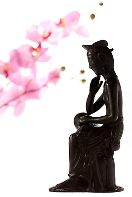 포토 JPG 스튜디오촬영 식물 꽃 종교 불교 종교용품 실내 누끼 사람없음 불상 불교용품 부처 국내포토 내부 파일형식