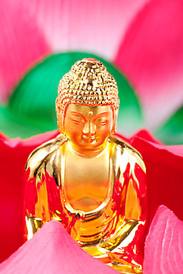 포토 JPG 스튜디오촬영 종교 불교 종교용품 실내 연꽃 사람없음 불상 불교용품 연등 국내포토 꽃 내부 등불 파일형식