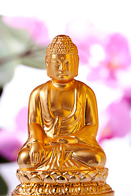 포토 JPG 스튜디오촬영 식물 꽃 종교 불교 종교용품 실내 사람없음 불상 불교용품 국내포토 내부 파일형식