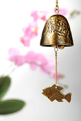 포토 JPG 스튜디오촬영 식물 꽃 종교 불교 종교용품 실내 어류 풍경 사람없음 종 불교용품 경쇠 풍경종 국내포토 내부 수중동물 파일형식