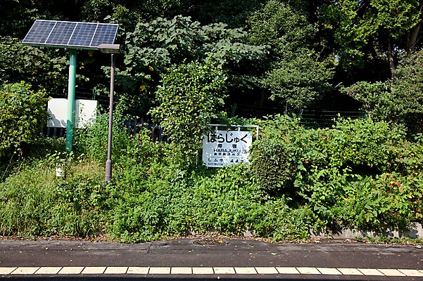 포토 JPG 주간 나무 식물 시설물 아시아 잎 일본문화 나뭇잎 풍경 사람없음 야외 일본 팻말 표지판 역 집열판 하라주쿠 하라주쿠역 국내포토 자연요소 동양문화 건축물 나라 외국문화 교통시설 프레임 알림판 도쿄 태양에너지 전철역 파일형식