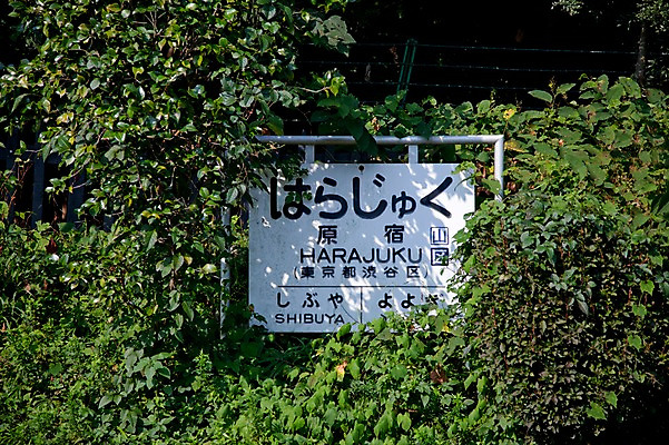 포토 JPG 주간 나무 식물 아시아 잎 일본문화 나뭇잎 풍경 사람없음 야외 일본 팻말 표지판 역 하라주쿠 하라주쿠역 국내포토 자연요소 동양문화 나라 외국문화 교통시설 프레임 알림판 도쿄 전철역 파일형식