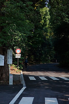 포토 JPG 주간 나무 식물 전통 아시아 도로 길 일본문화 자연 알림판 풍경 사람없음 야외 관광지 일본 팻말 표지판 역사 도로표지판 일본전통 메이지신궁 메이지진구 속도제한 신사_일본건축 국내포토 자연요소 동양문화 나라 외국문화 여행 교통시설 프레임 금지 생태계 일본건축 파일형식