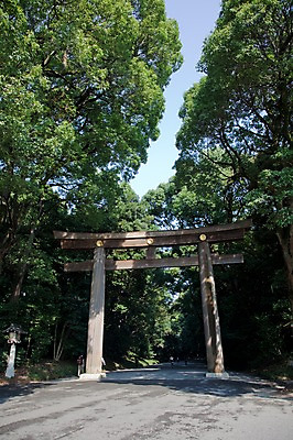 포토 JPG 주간 나무 식물 전통 시설물 건축물 건축 아시아 도로 길 백그라운드 일본문화 자연 하늘 출입구 풍경 사람없음 야외 관광지 문 일본 역사 일본전통 토리이 메이지신궁 메이지진구 신사_일본건축 국내포토 자연요소 동양문화 나라 외국문화 여행 교통시설 생태계 신사_건축물 일본건축 파일형식