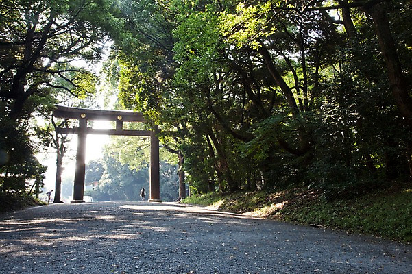 포토 JPG 주간 전신 전통 아시아 일본문화 출입구 풍경 사람없음 야외 관광지 문 일본 역사 일본전통 토리이 메이지신궁 메이지진구 신사_일본건축 국내포토 자연요소 동양문화 나라 외국문화 여행 신사_건축물 일본건축 파일형식