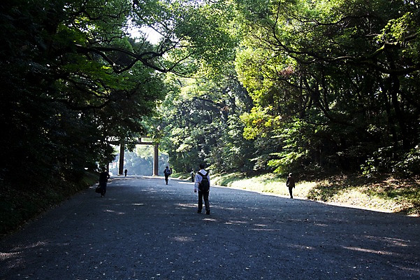 포토 JPG 주간 나무 식물 전통 시설물 건축물 건축 아시아 도로 길 일본문화 자연 출입구 사람 풍경 여러명 야외 관광지 여행객 문 일본 역사 숲 일본전통 토리이 메이지신궁 메이지진구 신사_일본건축 국내포토 자연요소 동양문화 나라 외국문화 여행 다수 교통시설 생태계 신사_건축물 일본건축 파일형식