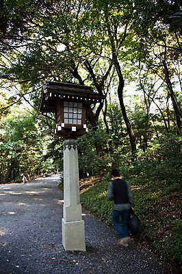 포토 JPG 주간 전신 나무 식물 전통 시설물 건축물 건축 아시아 도로 길 고건축 일본문화 자연 한명 동양인 풍경 야외 뒷모습 관광지 일본 역사 숲 일본전통 메이지신궁 메이지진구 신사_일본건축 국내포토 자연요소 1 동양문화 나라 뷰포인트 외국문화 여행 교통시설 사람 인종 생태계 일본건축 파일형식