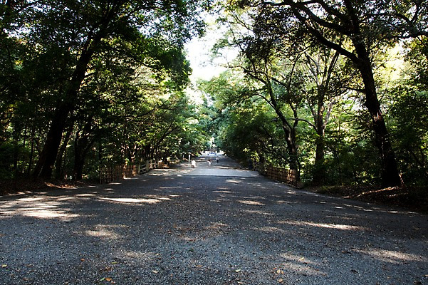 포토 JPG 주간 나무 식물 전통 아시아 도로 길 백그라운드 일본문화 자연 풍경 사람없음 야외 관광지 일본 역사 숲 일본전통 메이지신궁 메이지진구 신사_일본건축 국내포토 자연요소 동양문화 나라 외국문화 여행 교통시설 생태계 일본건축 파일형식