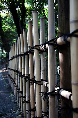 포토 JPG 주간 나무 식물 전통 아시아 백그라운드 일본문화 자연 풍경 사람없음 야외 관광지 울타리 일본 역사 숲 대나무 일본전통 메이지신궁 메이지진구 신사_일본건축 국내포토 자연요소 동양문화 나라 외국문화 여행 담장 생태계 일본건축 파일형식