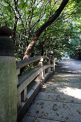 포토 JPG 주간 나무 식물 전통 건축물 건축 아시아 백그라운드 일본문화 자연 풍경 사람없음 야외 관광지 일본 역사 숲 일본전통 돌다리 메이지신궁 메이지진구 가교 신사_일본건축 국내포토 자연요소 동양문화 나라 외국문화 여행 다리_건축물 생태계 일본건축 파일형식