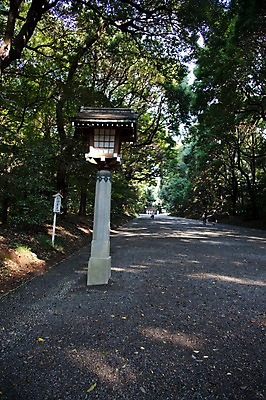 포토 JPG 주간 나무 식물 전통 시설물 아시아 길 일본문화 자연 풍경 사람없음 야외 관광지 일본 역사 숲 일본전통 메이지신궁 메이지진구 신사_일본건축 국내포토 자연요소 동양문화 건축물 나라 외국문화 여행 생태계 일본건축 파일형식
