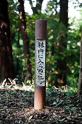 포토 JPG 주간 나무 식물 문자 전통 시설물 아시아 잎 일본문화 자연 나뭇잎 풍경 사람없음 야외 관광지 일본 역사 일본어 일본전통 메이지신궁 메이지진구 신사_일본건축 국내포토 자연요소 동양문화 건축물 나라 외국문화 여행 생태계 일본건축 파일형식