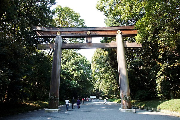 포토 JPG 주간 나무 식물 전통 시설물 아시아 백그라운드 일본문화 자연 출입구 사람 동양인 풍경 여러명 야외 관광지 문 일본 역사 숲 일본전통 토리이 메이지신궁 메이지진구 신사_일본건축 국내포토 자연요소 동양문화 건축물 나라 외국문화 여행 다수 인종 생태계 신사_건축물 일본건축 파일형식