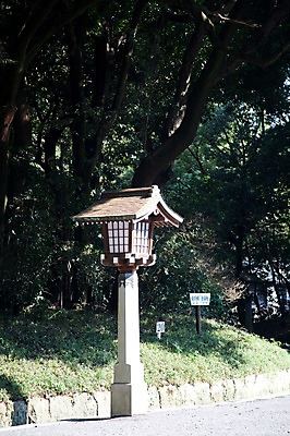 포토 JPG 주간 나무 식물 전통 시설물 아시아 길 일본문화 자연 풍경 사람없음 야외 관광지 일본 역사 숲 일본전통 메이지신궁 메이지진구 신사_일본건축 국내포토 자연요소 동양문화 건축물 나라 외국문화 여행 생태계 일본건축 파일형식