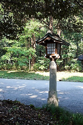 포토 JPG 주간 나무 식물 전통 시설물 아시아 길 일본문화 자연 풍경 사람없음 야외 관광지 일본 역사 숲 일본전통 메이지신궁 메이지진구 신사_일본건축 국내포토 자연요소 동양문화 건축물 나라 외국문화 여행 생태계 일본건축 파일형식