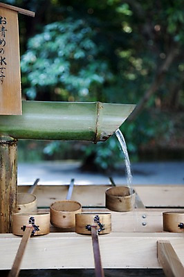 포토 JPG 주간 전통 아시아 일본문화 물줄기 풍경 사람없음 야외 물 관광지 일본 역사 샘물 대나무 일본전통 식수 메이지신궁 메이지진구 식수대 신사_일본건축 국내포토 자연요소 나무 동양문화 나라 외국문화 여행 일본건축 파일형식