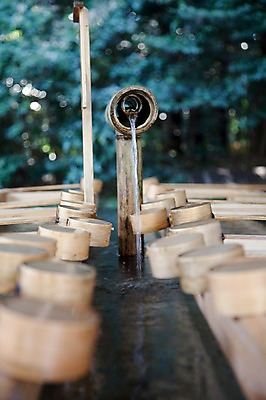 포토 JPG 주간 전통 아시아 일본문화 물줄기 풍경 사람없음 야외 물 관광지 일본 역사 샘물 대나무 일본전통 식수 메이지신궁 메이지진구 식수대 신사_일본건축 국내포토 자연요소 나무 동양문화 나라 외국문화 여행 일본건축 파일형식