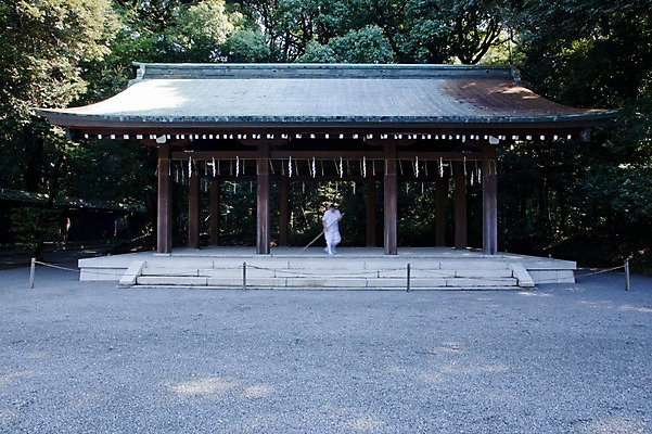 포토 JPG 주간 전신 나무 식물 전통 건축물 건축 아시아 고건축 일본문화 자연 기와 한명 서기 동양인 풍경 야외 건물 관광지 일본 역사 숲 일본전통 메이지신궁 메이지진구 신사_일본건축 국내포토 자연요소 1 동양문화 나라 외국문화 여행 모션 사람 인종 생태계 일본건축 파일형식