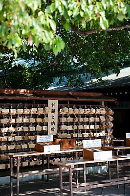 포토 JPG 주간 나무 식물 전통 아시아 일본문화 풍경 사람없음 야외 관광지 일본 역사 일본전통 메이지신궁 메이지진구 에마 신사_일본건축 국내포토 자연요소 동양문화 나라 외국문화 여행 일본건축 파일형식