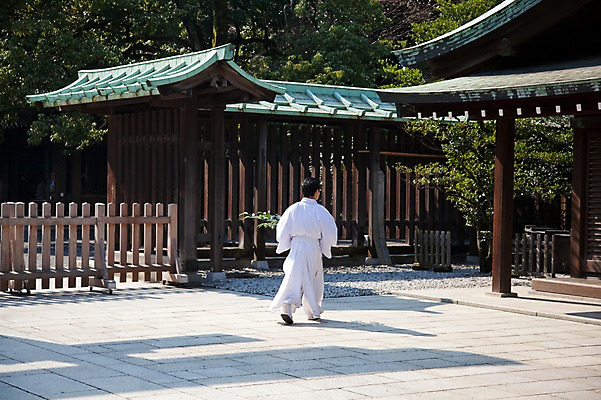 포토 JPG 주간 전신 전통 건축물 건축 아시아 고건축 일본문화 한명 서기 사람 동양인 풍경 야외 건물 뒷모습 관광지 일본 역사 일본전통 메이지신궁 메이지진구 신사_일본건축 국내포토 자연요소 1 동양문화 나라 뷰포인트 외국문화 여행 모션 인종 일본건축 파일형식