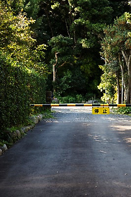 포토 JPG 주간 나무 식물 전통 아시아 도로 길 일본문화 풍경 사람없음 야외 관광지 일본 역사 바리케이드 일본전통 가마쿠라 출입금지 국내포토 자연요소 동양문화 나라 외국문화 여행 교통시설 금지 파일형식