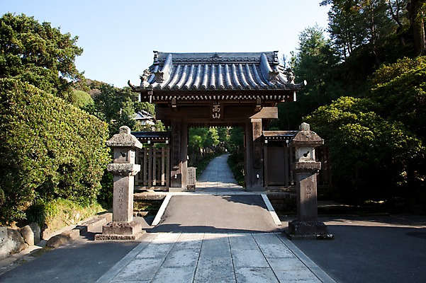 포토 JPG 주간 나무 식물 전통 건축물 건축 아시아 종교 도로 길 백그라운드 고건축 불교 일본문화 출입구 풍경 사람없음 야외 건물 관광지 문 일본 사찰 역사 불교용품 일본전통 가마쿠라 겐초사 국내포토 자연요소 동양문화 나라 외국문화 여행 종교용품 종교건축 교통시설 신사_일본건축 파일형식