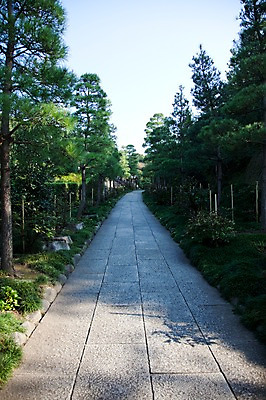 포토 JPG 주간 나무 식물 전통 아시아 도로 길 백그라운드 일본문화 하늘 풍경 사람없음 야외 관광지 일본 사찰 역사 일본전통 가마쿠라 겐초사 국내포토 자연요소 동양문화 나라 외국문화 여행 종교건축 교통시설 신사_일본건축 파일형식