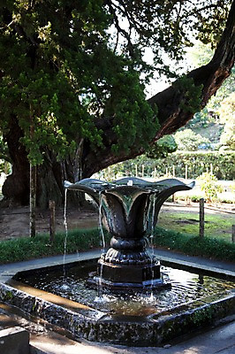 포토 JPG 주간 나무 식물 전통 건축물 건축 아시아 종교 고건축 불교 일본문화 자연 풍경 사람없음 야외 물 관광지 일본 사찰 역사 불교용품 분수 분수대 일본전통 식수 가마쿠라 겐초사 식수대 분수_분수대 국내포토 자연요소 동양문화 나라 외국문화 여행 종교용품 종교건축 생태계 신사_일본건축 파일형식