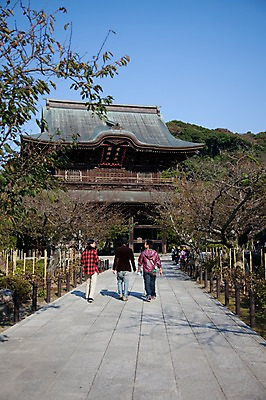 포토 JPG 주간 나무 식물 전통 건축물 건축 아시아 종교 도로 길 고건축 불교 일본문화 사람 풍경 여러명 야외 건물 관광지 울타리 여행객 일본 사찰 역사 불교용품 일본전통 가마쿠라 겐초사 국내포토 자연요소 동양문화 나라 외국문화 여행 다수 종교용품 종교건축 교통시설 담장 신사_일본건축 파일형식