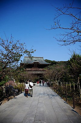 포토 JPG 주간 나무 식물 전통 건축물 건축 아시아 종교 도로 길 고건축 불교 일본문화 사람 풍경 여러명 야외 건물 관광지 울타리 여행객 일본 사찰 역사 불교용품 일본전통 가마쿠라 겐초사 국내포토 자연요소 동양문화 나라 외국문화 여행 다수 종교용품 종교건축 교통시설 담장 신사_일본건축 파일형식