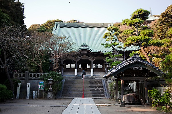 포토 JPG 주간 나무 식물 전통 건축물 건축 아시아 고건축 일본문화 풍경 사람없음 야외 건물 관광지 계단 일본 역사 일본전통 가마쿠라 국내포토 자연요소 동양문화 나라 외국문화 여행 파일형식