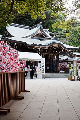 포토 JPG 주간 나무 식물 전통 건축물 건축 아시아 종교 고건축 일본문화 자연 사람 풍경 야외 두명 건물 관광지 일본 운세 역사 일본전통 에노시마 오미쿠지 신사_일본건축 국내포토 자연요소 동양문화 나라 외국문화 여행 생태계 일본건축 파일형식