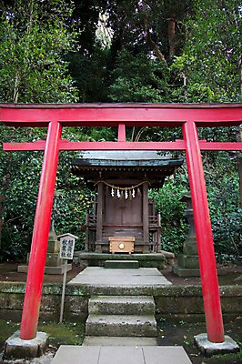 포토 JPG 주간 나무 식물 전통 건축물 건축 아시아 종교 고건축 일본문화 풍경 사람없음 야외 건물 관광지 일본 역사 숲 일본전통 에노시마 신사_일본건축 국내포토 자연요소 동양문화 나라 외국문화 여행 일본건축 파일형식