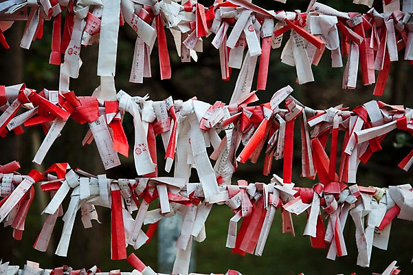 포토 JPG 주간 전통 아시아 종교 일본문화 풍경 사람없음 야외 일본 운세 일본전통 미신 오미쿠지 국내포토 자연요소 동양문화 나라 외국문화 파일형식