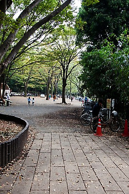 포토 JPG 주간 나무 식물 공원 아시아 길 어린이 일본문화 휴식 사람 풍경 여러명 야외 일본 자전거 바리케이드 이노카시라공원 어린이만 국내포토 자연요소 동양문화 공공시설 나라 외국문화 다수 컨셉 바이크 도쿄 파일형식