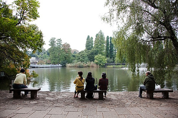 포토 JPG 주간 전신 나무 식물 공원 여자 남자 아시아 호수 일본문화 벤치 의자 자연 휴식 앉기 풍경 여러명 야외 뒷모습 물 일본 이노카시라공원 국내포토 자연요소 동양문화 공공시설 나라 뷰포인트 외국문화 가구 다수 컨셉 모션 사람 도쿄 생태계 파일형식