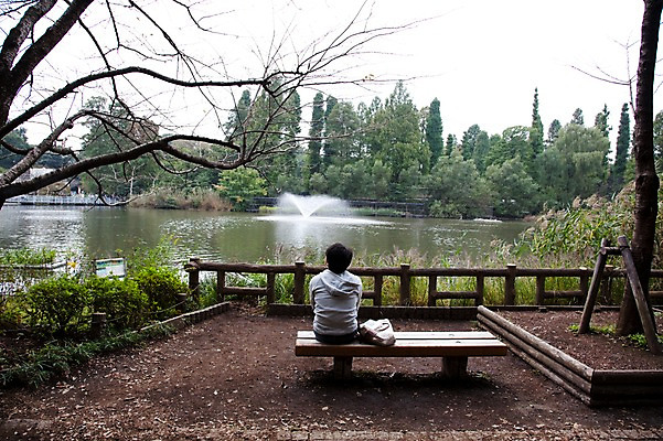 포토 JPG 주간 전신 나무 식물 공원 남자 아시아 호수 일본문화 벤치 의자 자연 휴식 한명 사람 앉기 동양인 풍경 20대 성인 야외 뒷모습 울타리 일본 나뭇가지 이노카시라공원 남자만 남자한명만 성인남자만 청년만 청년남자만 청년남자한명만 성인한명만 성인남자한명만 성인만 국내포토 자연요소 1 동양문화 공공시설 나라 뷰포인트 외국문화 가구 컨셉 모션 인종 청년 담장 도쿄 생태계 파일형식