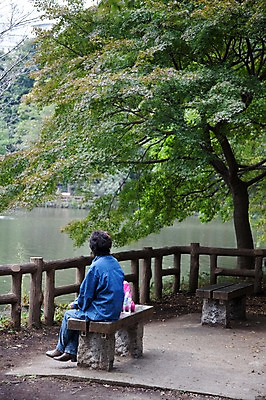 포토 JPG 주간 전신 나무 식물 공원 남자 아시아 호수 중년 50대 일본문화 벤치 의자 자연 휴식 한명 사람 앉기 동양인 풍경 성인 야외 뒷모습 물 울타리 일본 이노카시라공원 남자만 남자한명만 성인남자만 성인한명만 성인남자한명만 중년만 중년남자만 중년남자한명만 성인만 국내포토 자연요소 1 동양문화 공공시설 나라 뷰포인트 외국문화 가구 컨셉 모션 인종 담장 도쿄 생태계 파일형식