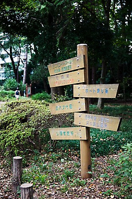 포토 JPG 주간 나무 식물 공원 아시아 일본문화 자연 안내 사람 풍경 야외 일본 팻말 표지판 숲 이노카시라공원 국내포토 자연요소 동양문화 공공시설 나라 외국문화 프레임 알림판 도쿄 생태계 파일형식