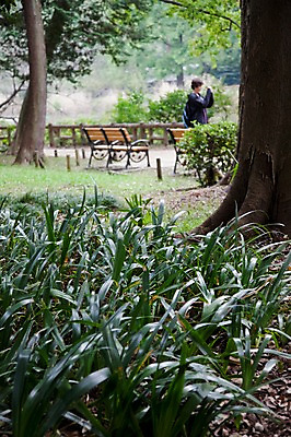 포토 JPG 주간 나무 식물 공원 남자 아시아 일본문화 벤치 한명 사람 풍경 초원 야외 울타리 일본 풀 이노카시라공원 남자만 남자한명만 국내포토 자연요소 1 동양문화 공공시설 나라 외국문화 의자 담장 도쿄 파일형식