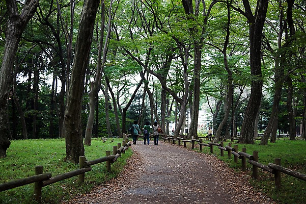 포토 JPG 주간 전신 나무 식물 공원 아시아 도로 길 일본문화 자연 사람 동양인 풍경 야외 세명 울타리 일본 산책로 숲 이노카시라공원 국내포토 자연요소 동양문화 공공시설 나라 외국문화 교통시설 인종 담장 도쿄 생태계 파일형식