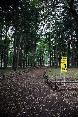 포토 JPG 주간 나무 식물 공원 아시아 도로 길 일본문화 자연 알림판 풍경 사람없음 야외 반려동물 일본 산책로 팻말 표지판 개 강아지 숲 반려 이노카시라공원 국내포토 자연요소 동물 동양문화 공공시설 나라 외국문화 포유류 교통시설 프레임 도쿄 생태계 파일형식