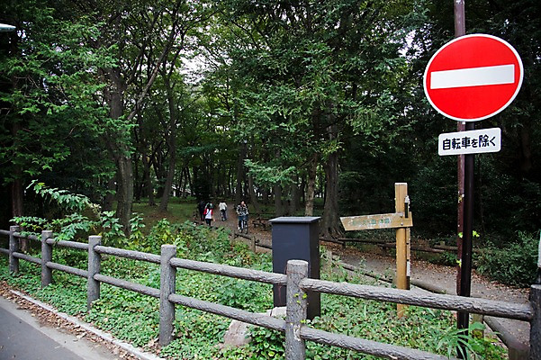 포토 JPG 주간 나무 식물 공원 아시아 도로 길 일본문화 자연 사람 풍경 여러명 야외 울타리 여행객 일본 팻말 표지판 숲 통제 도로표지판 이노카시라공원 출입금지 국내포토 자연요소 동양문화 공공시설 나라 외국문화 다수 교통시설 프레임 알림판 담장 금지 도쿄 생태계 파일형식