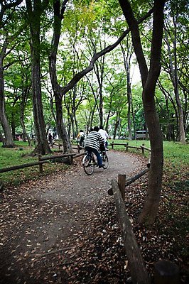 포토 JPG 주간 나무 식물 공원 아시아 길 육상교통 일본문화 자연 사람 동양인 풍경 여러명 야외 일본 자전거 숲 이노카시라공원 국내포토 자연요소 동양문화 공공시설 나라 교통수단 외국문화 다수 인종 바이크 도쿄 생태계 파일형식