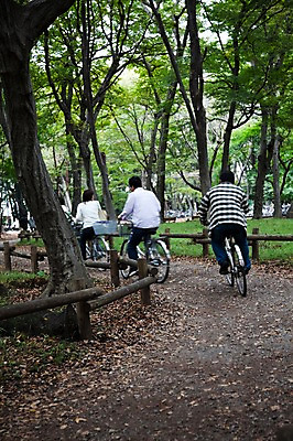 포토 JPG 주간 나무 식물 공원 아시아 길 육상교통 일본문화 자연 사람 동양인 풍경 여러명 야외 일본 자전거 숲 이노카시라공원 국내포토 자연요소 동양문화 공공시설 나라 교통수단 외국문화 다수 인종 바이크 도쿄 생태계 파일형식