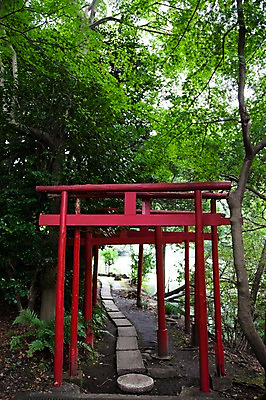 포토 JPG 주간 나무 식물 시설물 공원 건축 아시아 길 일본문화 자연 풍경 사람없음 야외 일본 산책로 숲 이노카시라공원 국내포토 자연요소 동양문화 건축물 공공시설 나라 외국문화 도쿄 생태계 파일형식